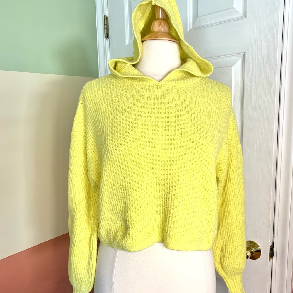 American Eagle Hooded Cropped sweater